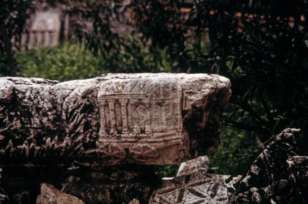MHA-2129