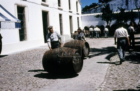 MHA-256
