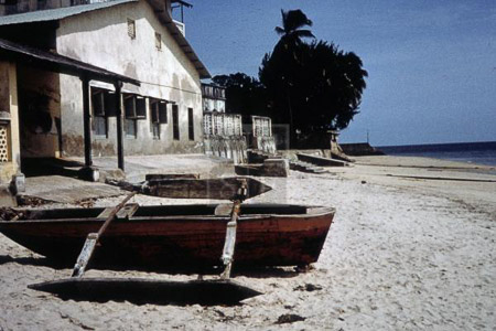 MHA-36