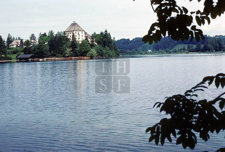 SUT-01768
