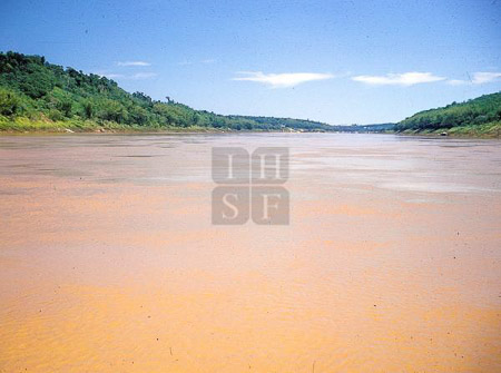 SUT-01991