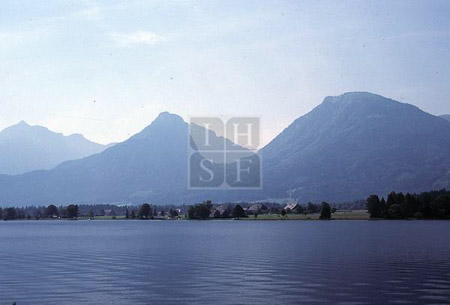 SUT-04658