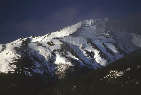 SUT-05176